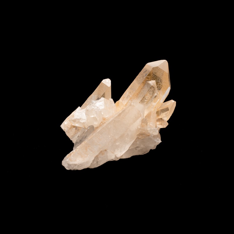 �ڥ��󥸥���󥯥����ġۿ徽���饹������TNG0019��