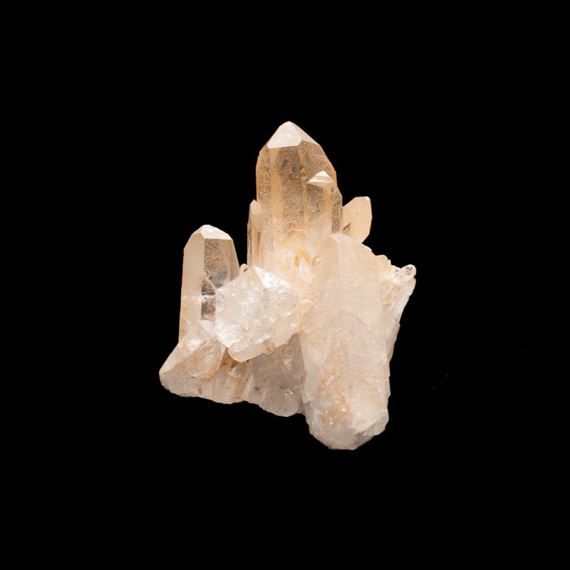 �ڥ��󥸥���󥯥����ġۿ徽���饹������TNG0019��