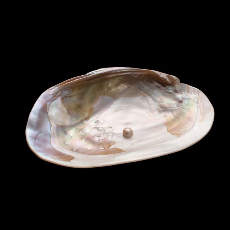 ��ŷ�������۾����ѡ������ܿ徽��������100g�ڥ֥쥹��åȾ��������饹�����֤�����