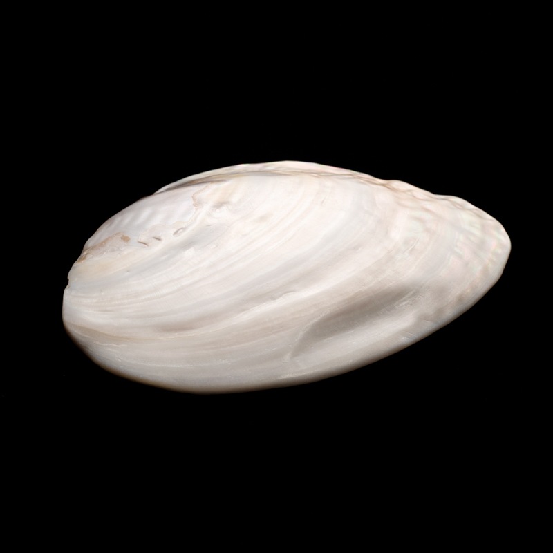 ��ŷ�������۾����ѡ������ܿ徽��������100g�ڥ֥쥹��åȾ��������饹�����֤�����