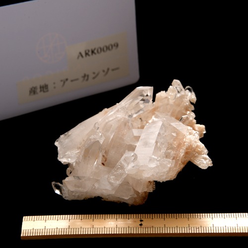 �ڥ������󥽡����ۿ徽���饹������ARK0009��