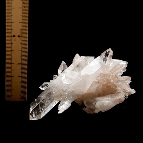 �ڥ������󥽡����ۿ徽���饹������ARK0014��