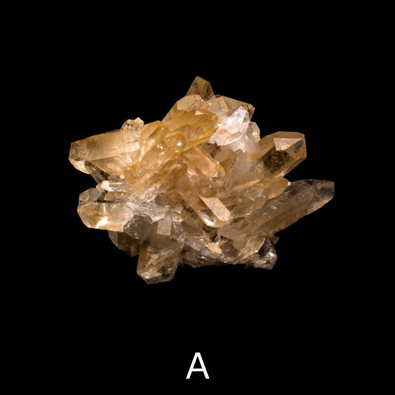 �ڥ��󥸥���󥯥����ġۿ徽���饹�������������åȡ�TNG0001��