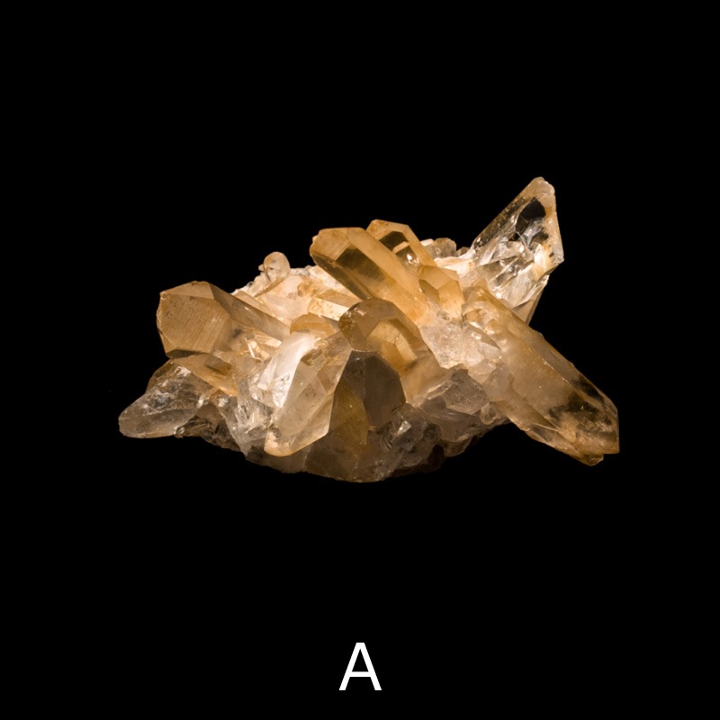 �ڥ��󥸥���󥯥����ġۿ徽���饹�������������åȡ�TNG0001��