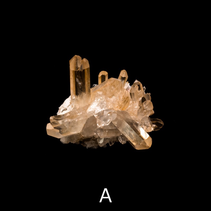 ڥ󥸥󥯥ġۿ徽饹åȡTNG0002