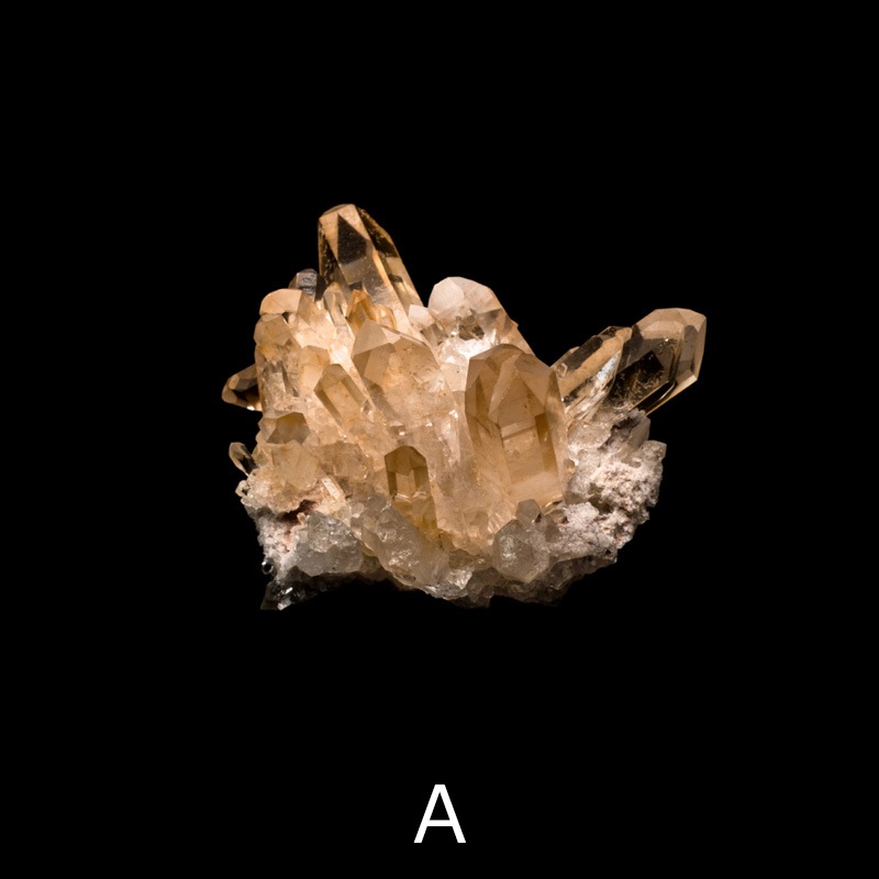 ڥ󥸥󥯥ġۿ徽饹åȡTNG0002