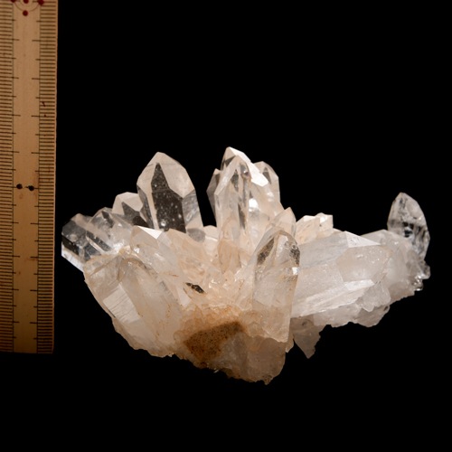 �ڥ������󥽡����ۿ徽���饹������ARK0016��