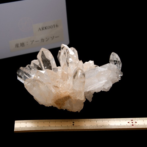 �ڥ������󥽡����ۿ徽���饹������ARK0016��