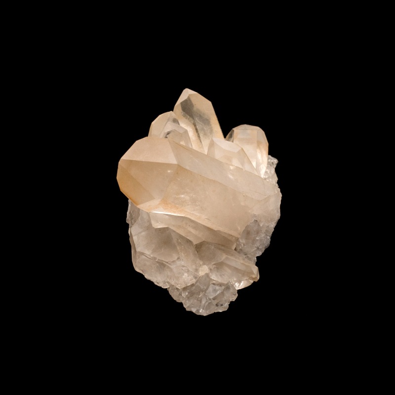 �ڥ��󥸥���󥯥����ġۿ徽���饹������TNG0029��