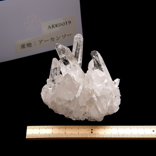 ڥ󥽡ۿ徽饹ARK0019