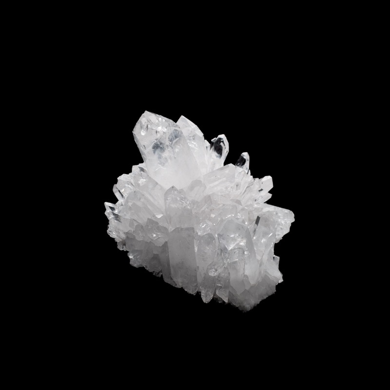 ����񡦻���ʻ��ۿ徽���饹������SSN0019��