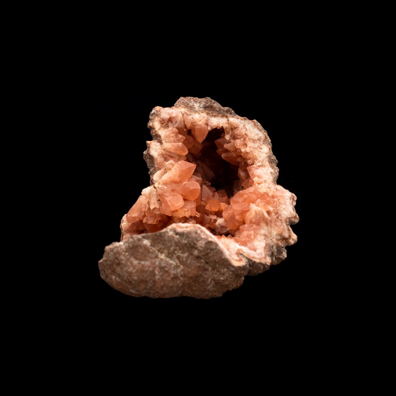 �ڥ��를����󻺡ۥԥ󥯥��᥸���ȡ��������ɡ�PAM0005��