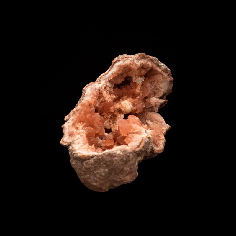 �ڥ��를����󻺡ۥԥ󥯥��᥸���ȡ��������ɡ�PAM0005��