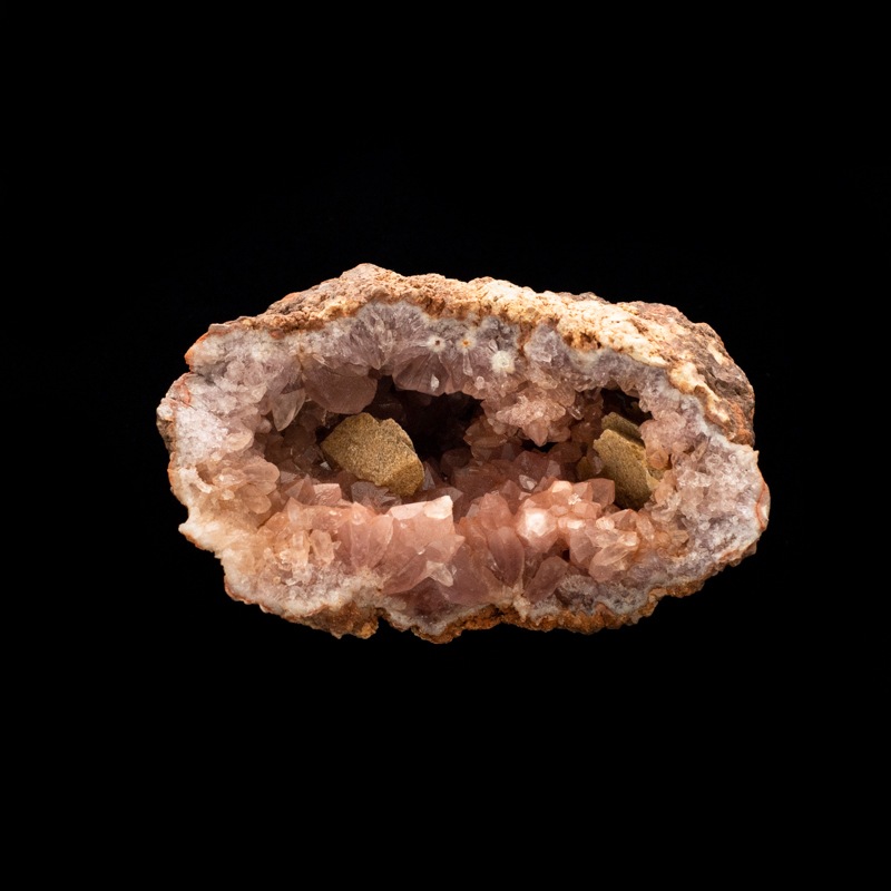 �ڥ��를����󻺡ۥԥ󥯥��᥸���ȡ��������ɡ�PAM0006��