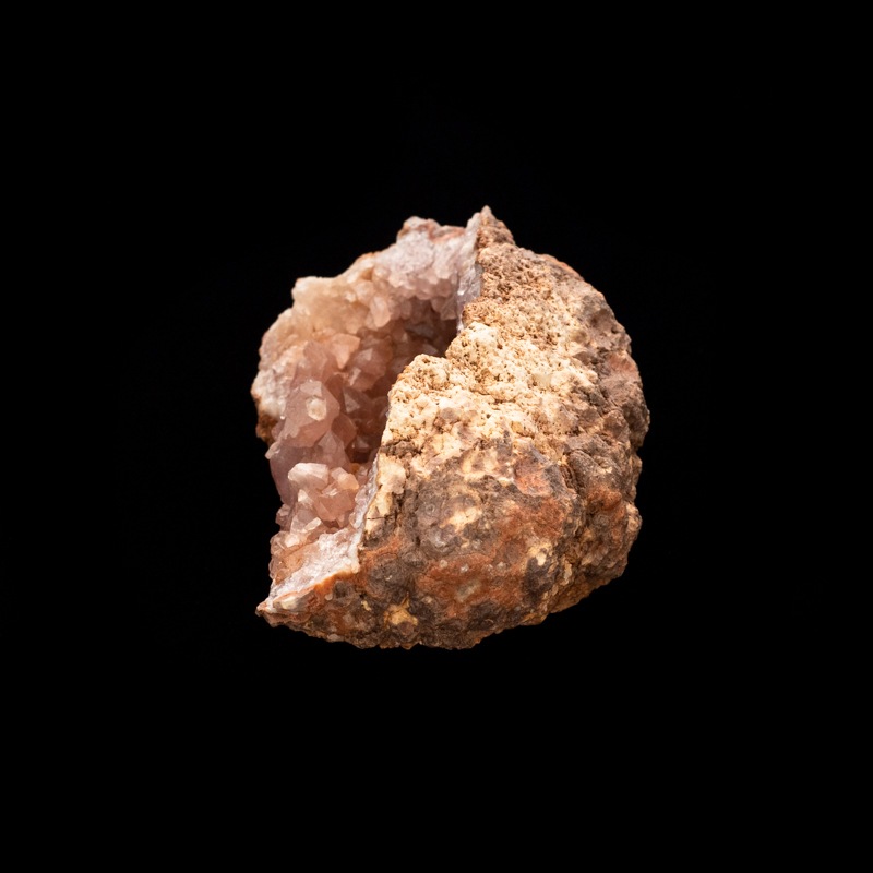 �ڥ��를����󻺡ۥԥ󥯥��᥸���ȡ��������ɡ�PAM0006��