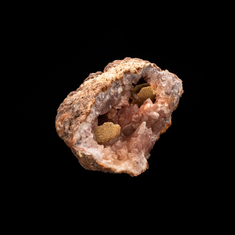 �ڥ��를����󻺡ۥԥ󥯥��᥸���ȡ��������ɡ�PAM0006��