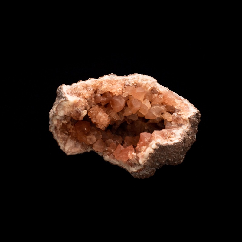 �ڥ��를����󻺡ۥԥ󥯥��᥸���ȡ��������ɡ�PAM0007��