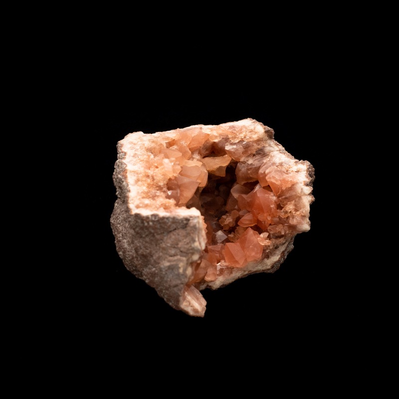 �ڥ��를����󻺡ۥԥ󥯥��᥸���ȡ��������ɡ�PAM0007��