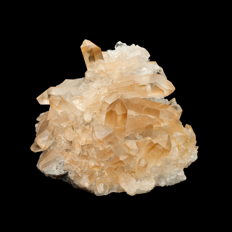 �ڥ��󥸥���󥯥����ġۿ徽���饹������TNG0004��