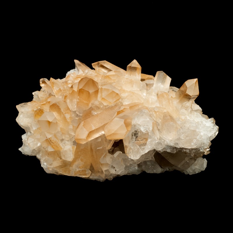 �ڥ��󥸥���󥯥����ġۿ徽���饹������TNG0004��