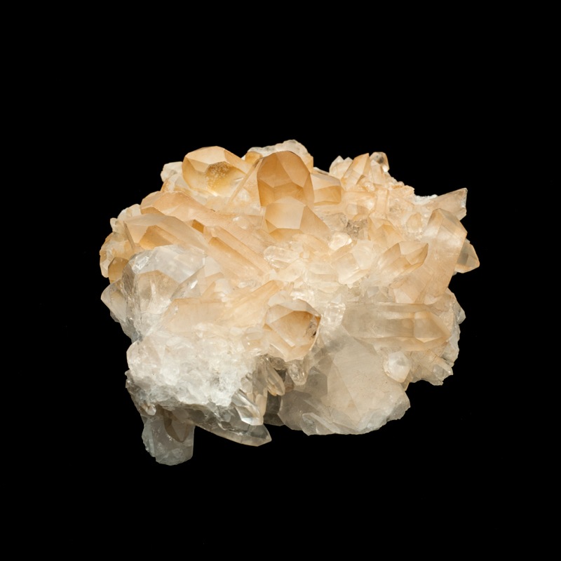 �ڥ��󥸥���󥯥����ġۿ徽���饹������TNG0004��