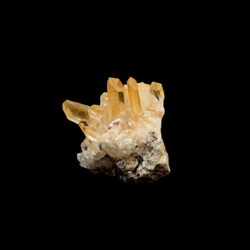 �ڥ��󥸥���󥯥����ġۿ徽���饹������TNG0006��