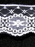 ワイドレース（50ｃｍ）