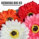 【クリ－ムのみ35％OFF】ガーベラビッグ03