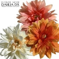 フラワーモチーフ　ダリアDX