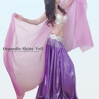 【送料無料】オーガンジーシャイニーベール