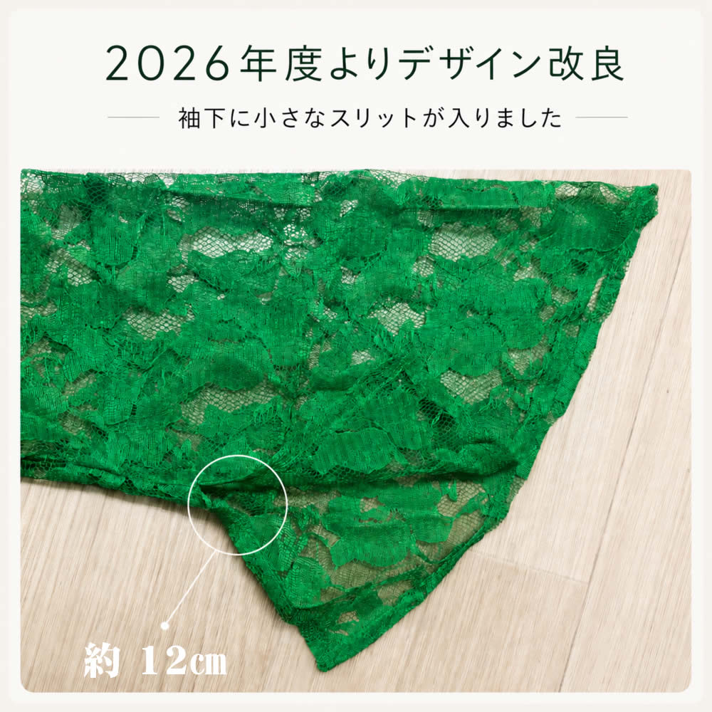 ベリーダンス衣装 【新色入荷】スタイルボレロチョリ オリジナル レース トップの写真