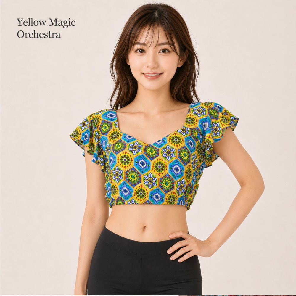 ベリーダンス衣装 【再・再入荷】☆プライスダウン☆マハラニトップスの写真
