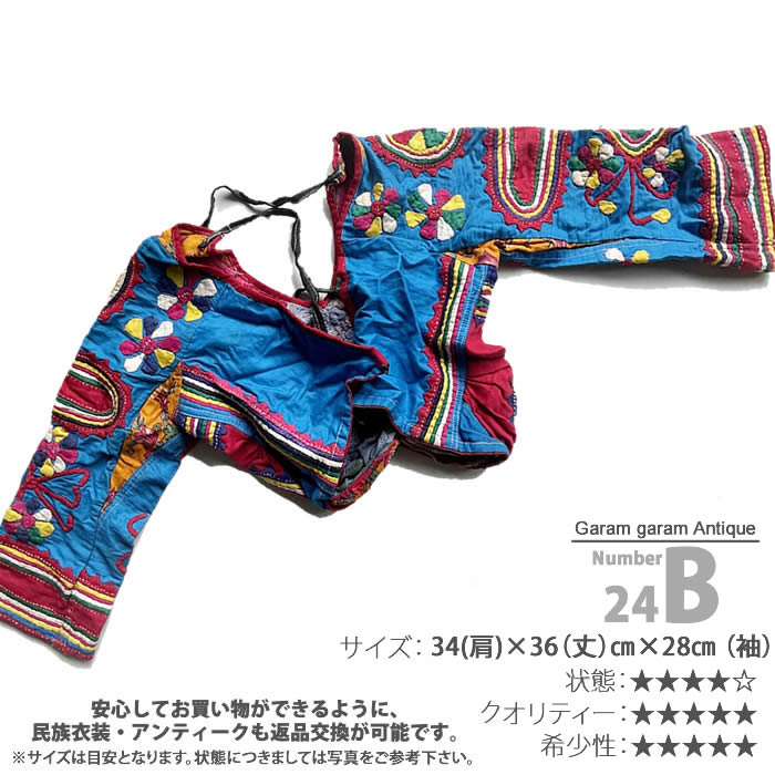 ベリーダンス衣装 民族衣装・チョリ24Bの写真