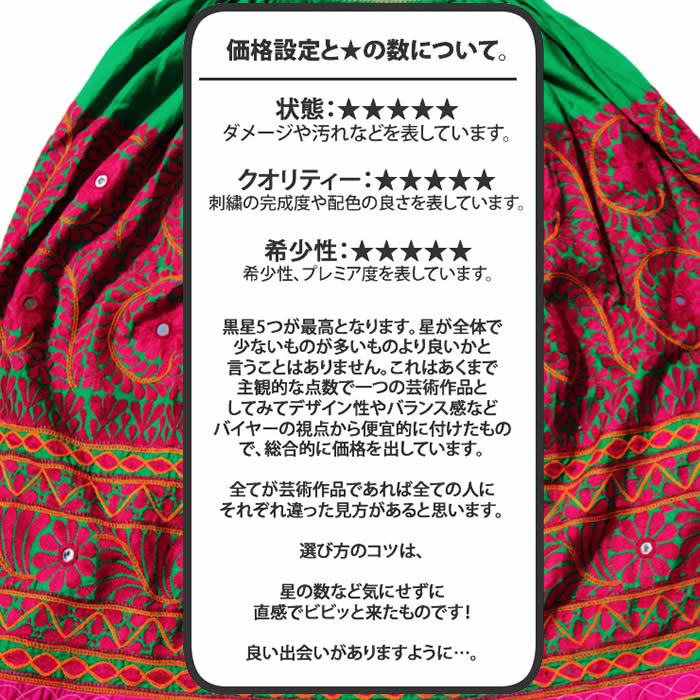 ベリーダンス衣装 民族衣装・チョリ24Bの写真