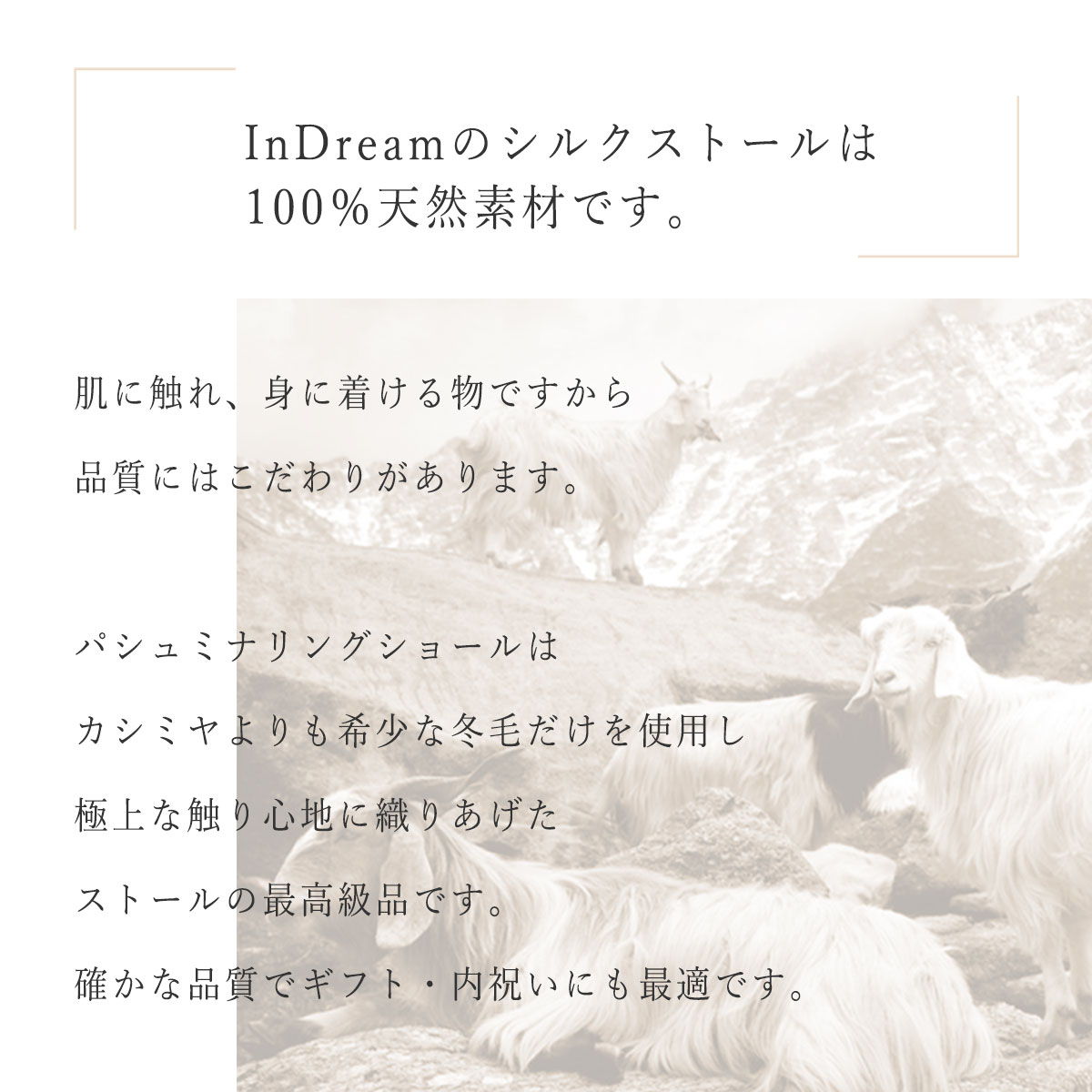 InDream パシュミナ ストール リングショール マフラ― カシミヤ100% チェック ベージュ/ホワイト クリスマス プレゼント ギフト誕生日 40代 50代 60代 70代 80代