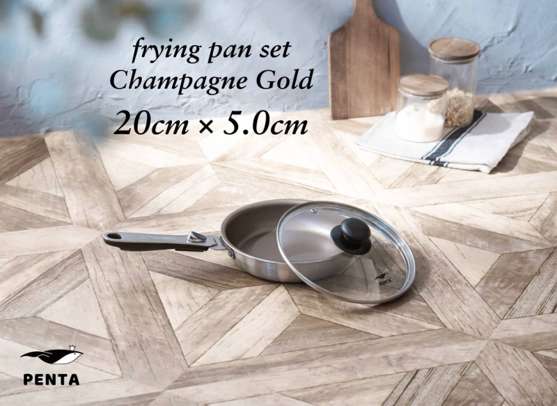 �ե饤�ѥ� 20cm���� �ڳ����å� �����ѥ󥴡���ɡ� ���ͥե饤�ѥ�PENTA20cm��5.0cm��