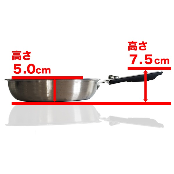 ͥե饤ѥPENTAʥڥ󥿡20cm5.0cm IH&ľ ѥ󥴡