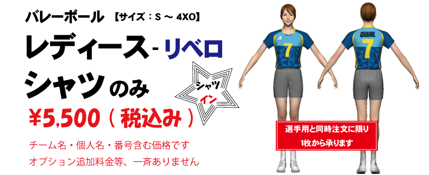バレーボール　レディース 半袖【シャツイン】シャツのみ【リベロ用】