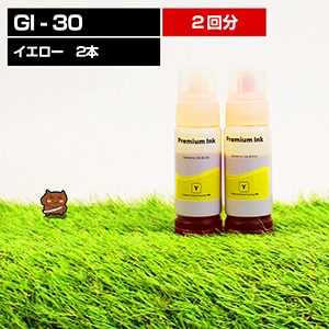 GI-31Y  �ߴ����󥯥ܥȥ� ����������2�ܥ��å�