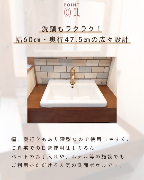 能面 楽天市場】AXE アックス サングラス 偏光 オーバーグラス