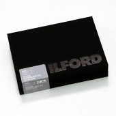 �ե��ȥ����� ���ꥹ���륰�����ʼ��������ʡ�