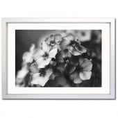 �����꡼�ե졼�� �ե����ƥ��󥰥���С� �ܡ����աʸ��ա� B4