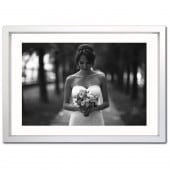 �����꡼�ե졼�� �ե����ƥ��󥰥���С� �ܡ����աʸ��ա� B2