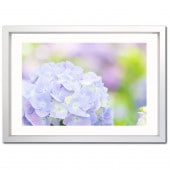 �����꡼�ե졼�� �ե����ƥ��󥰥���С� �ܡ����աʸ��ա� A4