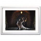 �����꡼�ե졼�� �ե����ƥ��󥰥���С� �ܡ����աʸ��ա� A2