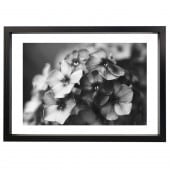 �����꡼�ե졼�� �ե����ƥ��󥰥֥�å� �ܡ����աʸ��ա� B4