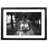 �����꡼�ե졼�� �ե����ƥ��󥰥֥�å� �ܡ����աʸ��ա� B2