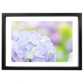 �����꡼�ե졼�� �ե����ƥ��󥰥֥�å� �ܡ����աʸ��ա� A4