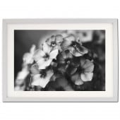 ꡼ե졼 饷åСࡼ ܡաʸա B4