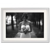 ꡼ե졼 饷åСࡼ ܡաʸա B2